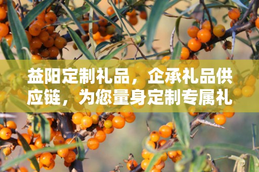 益阳定制礼品，企承礼品供应链，为您量身定制专属礼品